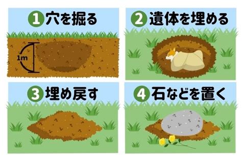 動物埋葬方法|ペットの埋葬方法｜土葬・納骨・埋骨の違いと後々困 